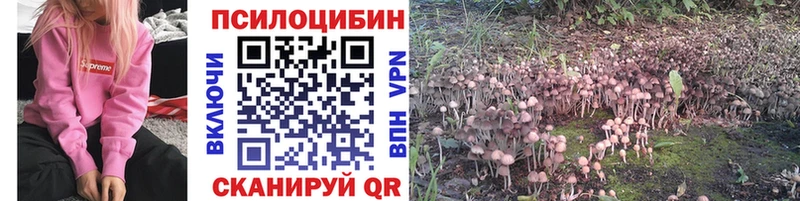 Галлюциногенные грибы Magic Shrooms  Арск 